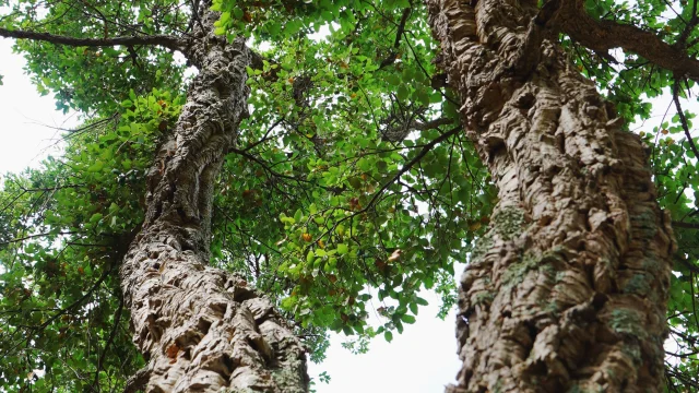 Processed with VSCO with we3 preset