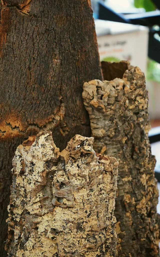 Processed with VSCO with aga1 preset