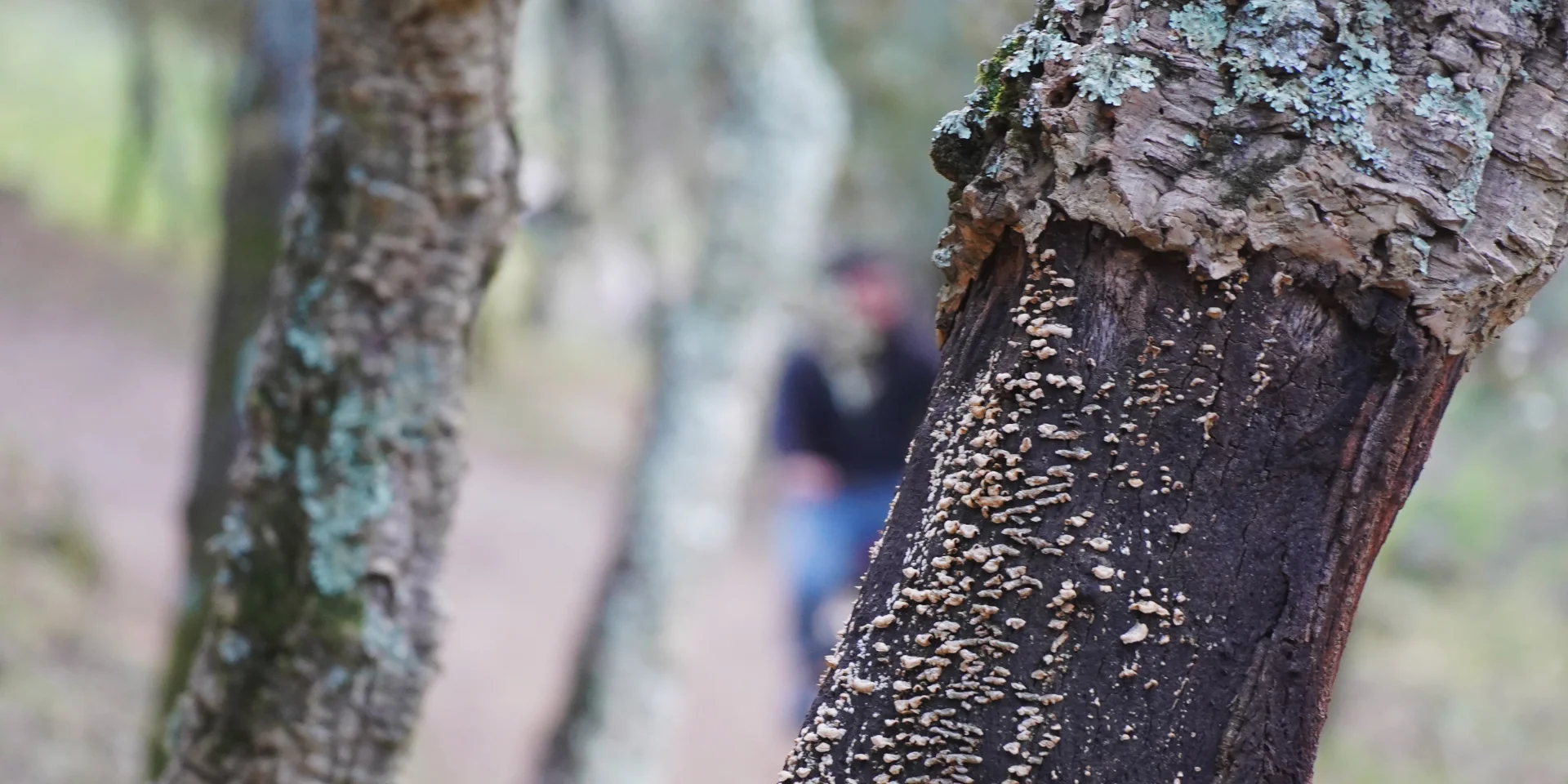 Processed with VSCO with we3 preset