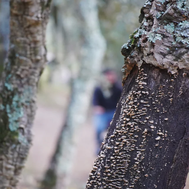 Processed with VSCO with we3 preset