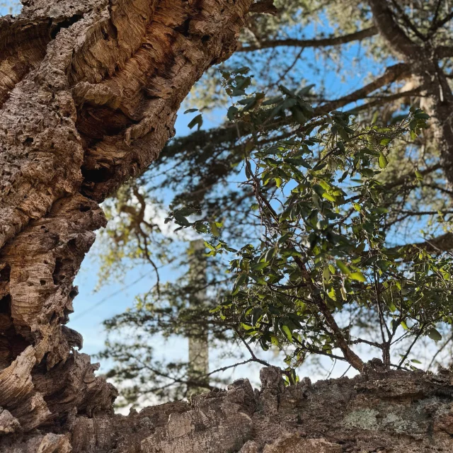 Processed with VSCO with we3 preset